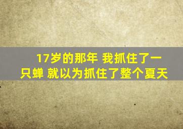 17岁的那年 我抓住了一只蝉 就以为抓住了整个夏天